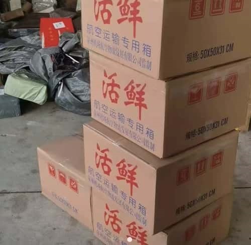 机场空运
